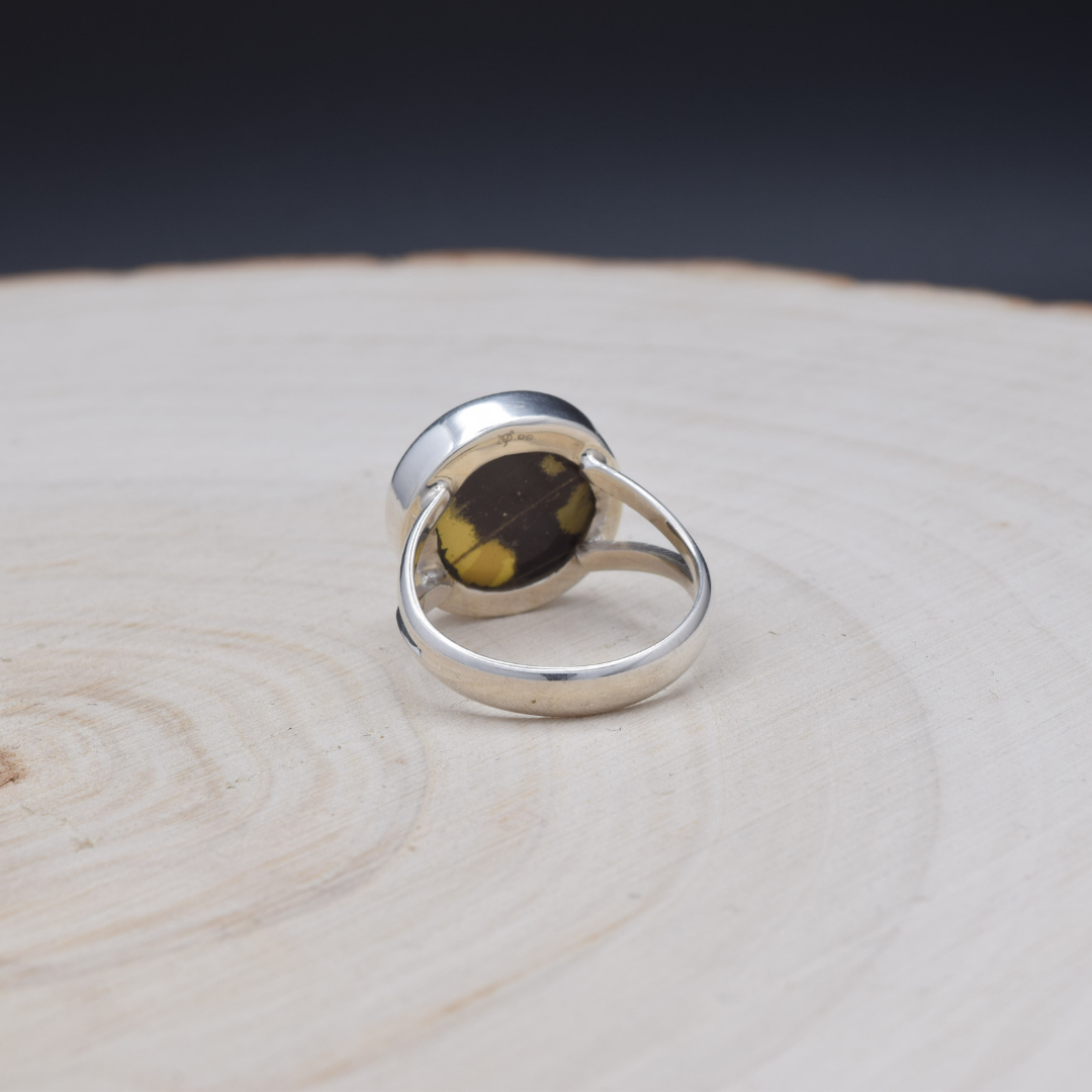 King Swallowtail Fine Silver Circle Ring