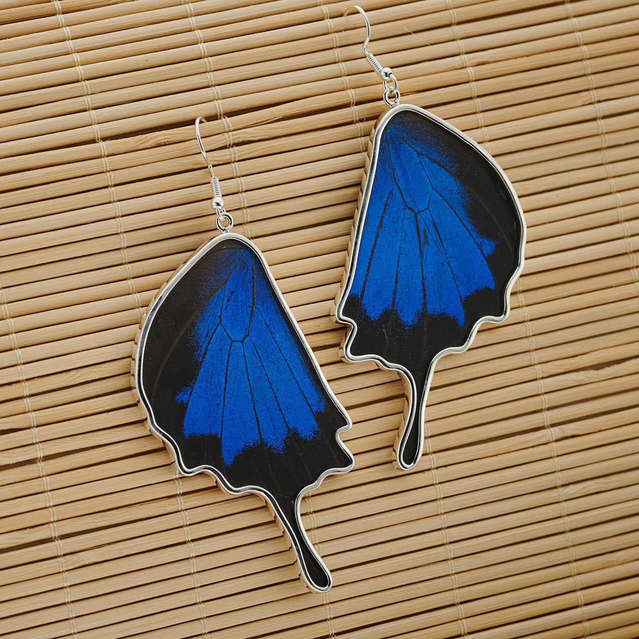 Mountain Blue Full Hindwing Fine Silver Earrings