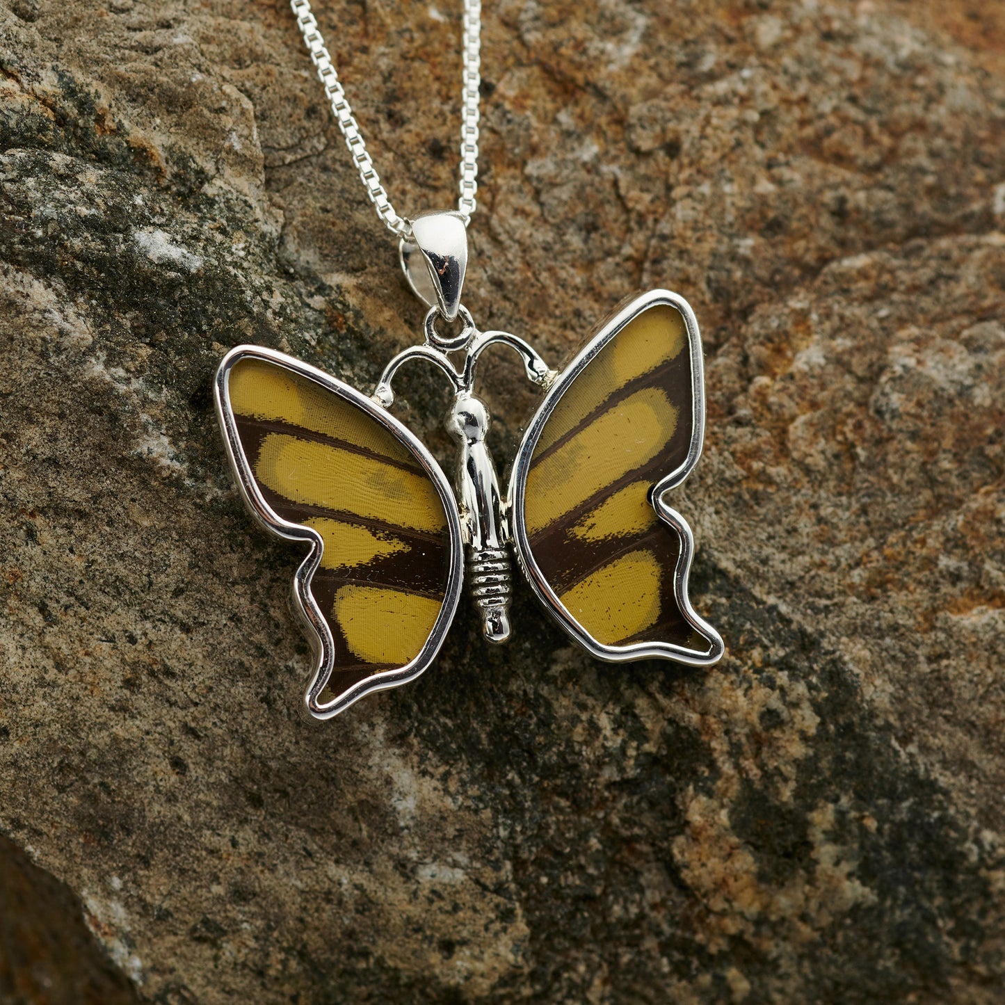 King Swallowtail Fine Silver Pendant
