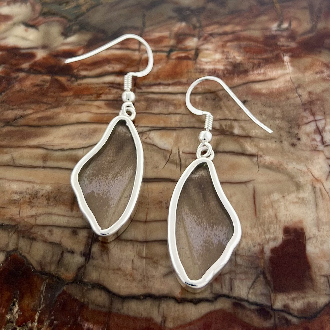Bl. Morpho Wing Fine Silver Earrings