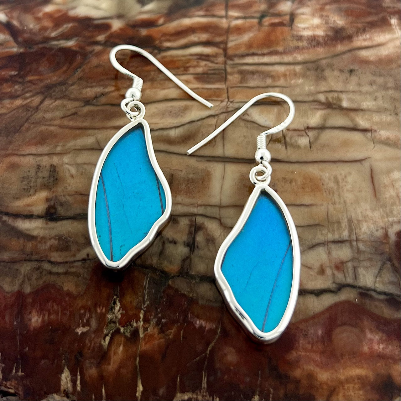 Bl. Morpho Wing Fine Silver Earrings