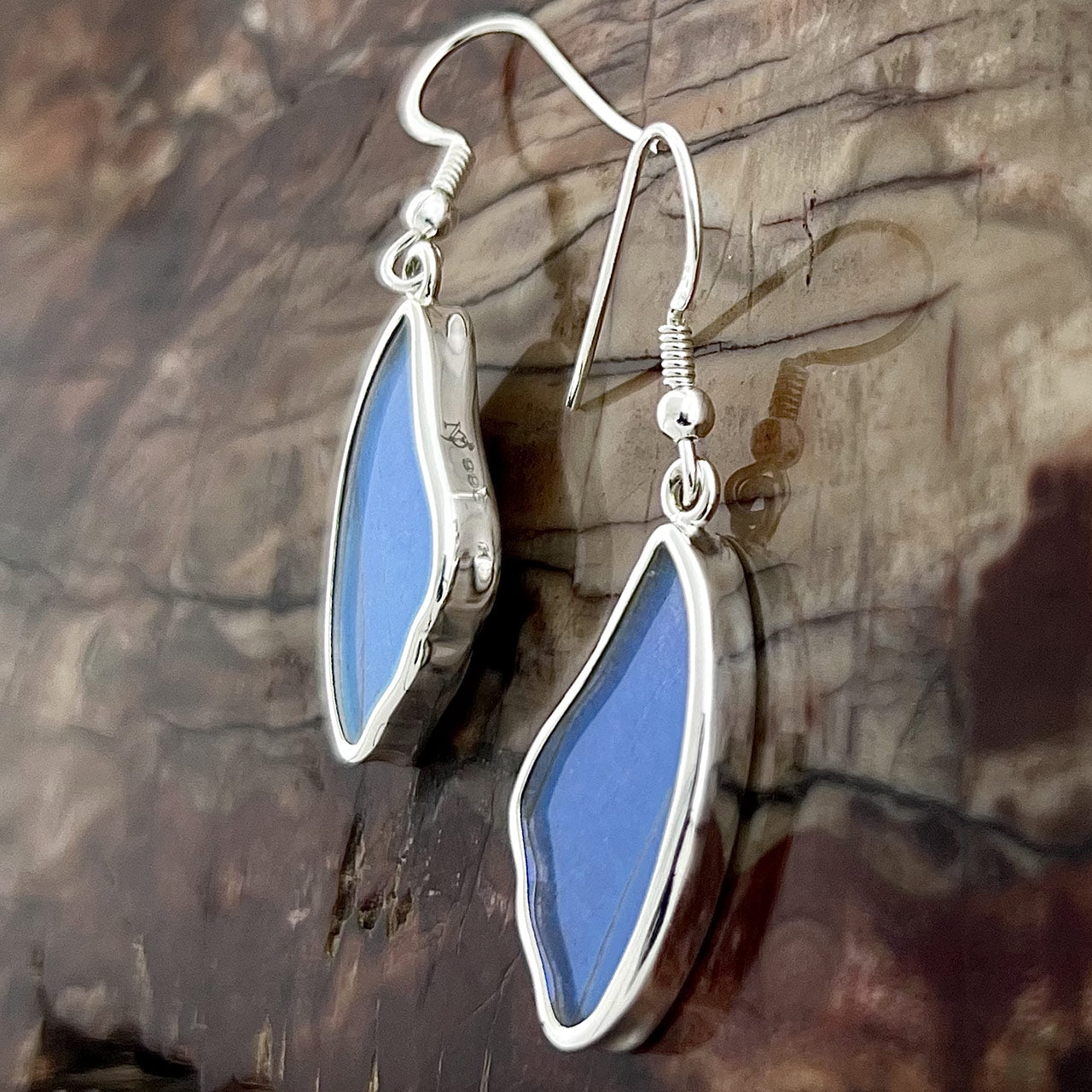 Bl. Morpho Wing Fine Silver Earrings
