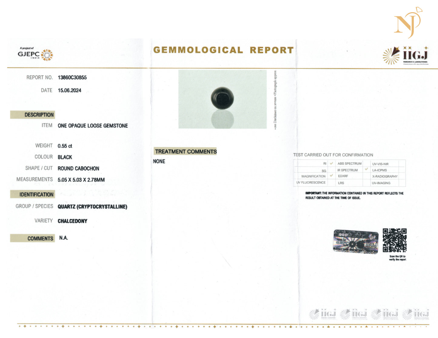 Black Onyx Sterling Silver Shield 2.0 Pendant