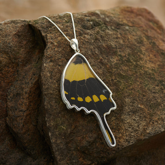 King Swallowtail Fine Silver Pendant