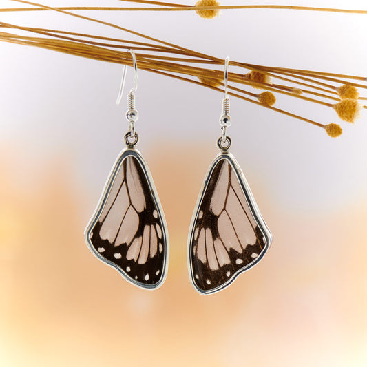 Glassy Tiger Fine Silver Earrings