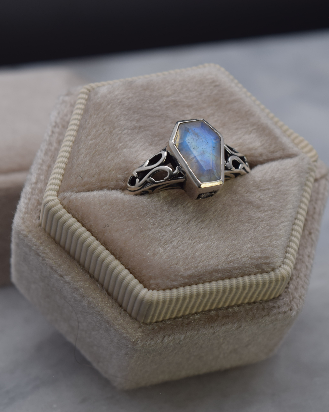 Silvaria Moonstone Coffin Ring