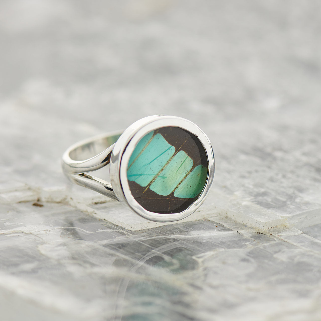 Common Bluebottle Fine Silver Circle Ring