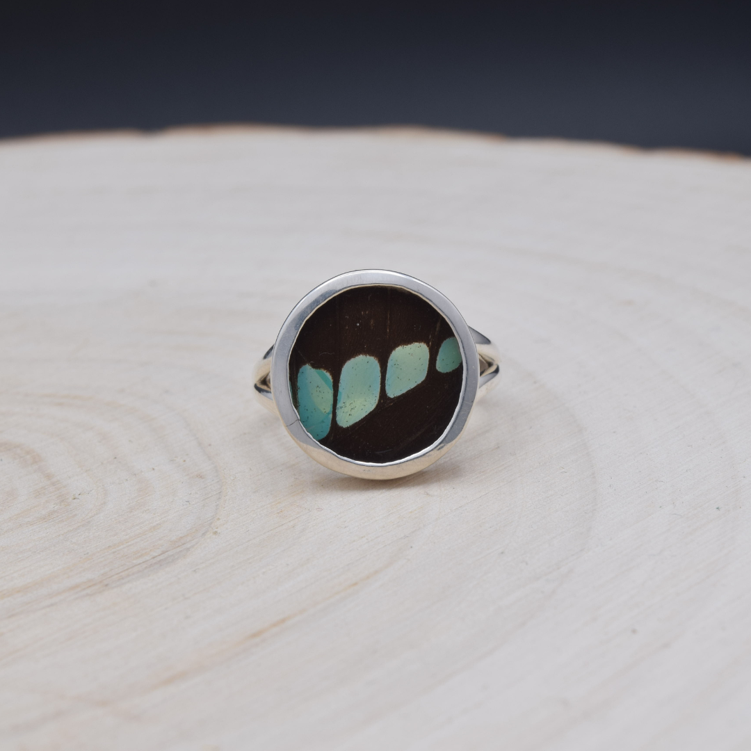 Common Bluebottle Fine Silver Circle Ring