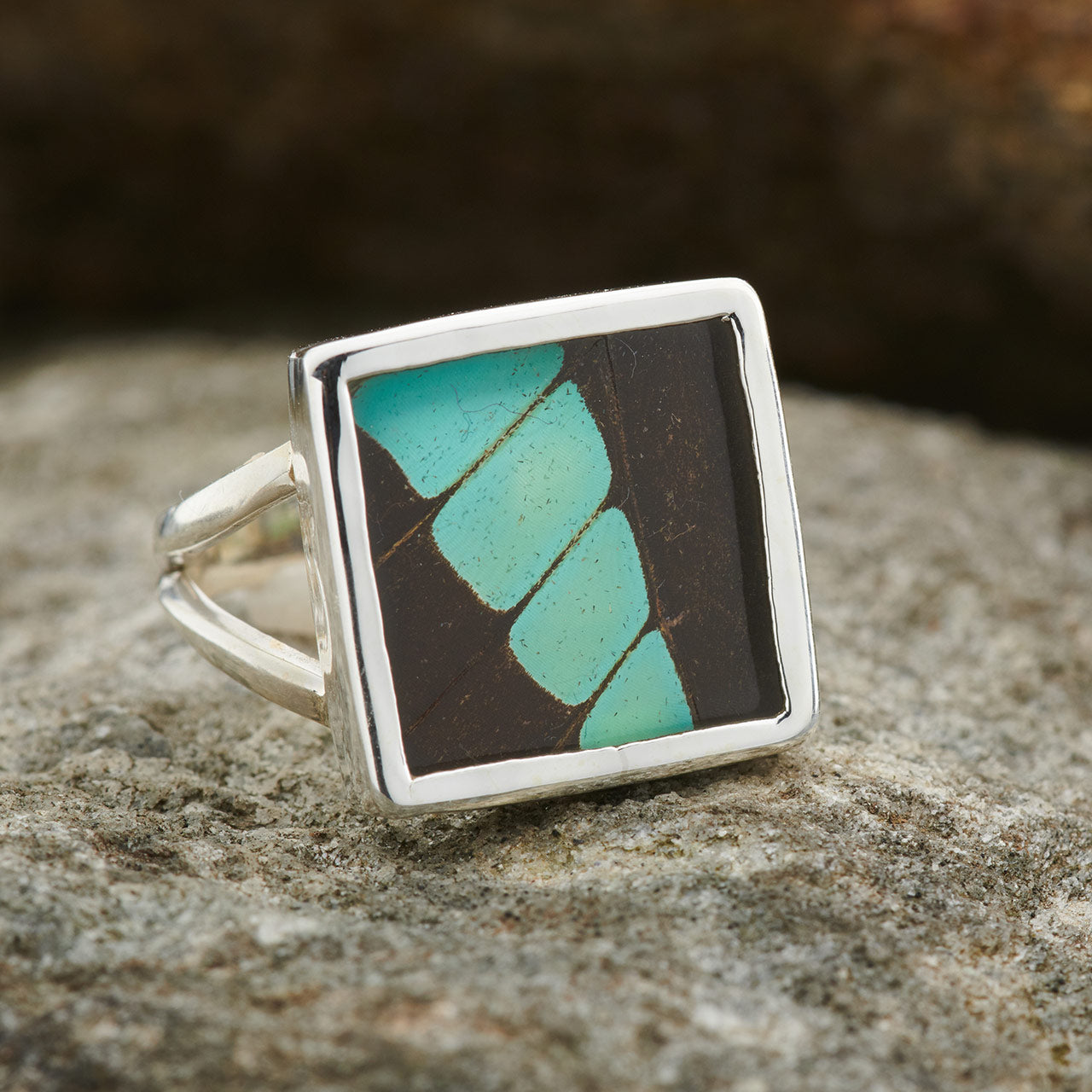 Common Bluebottle Fine Silver Square Ring