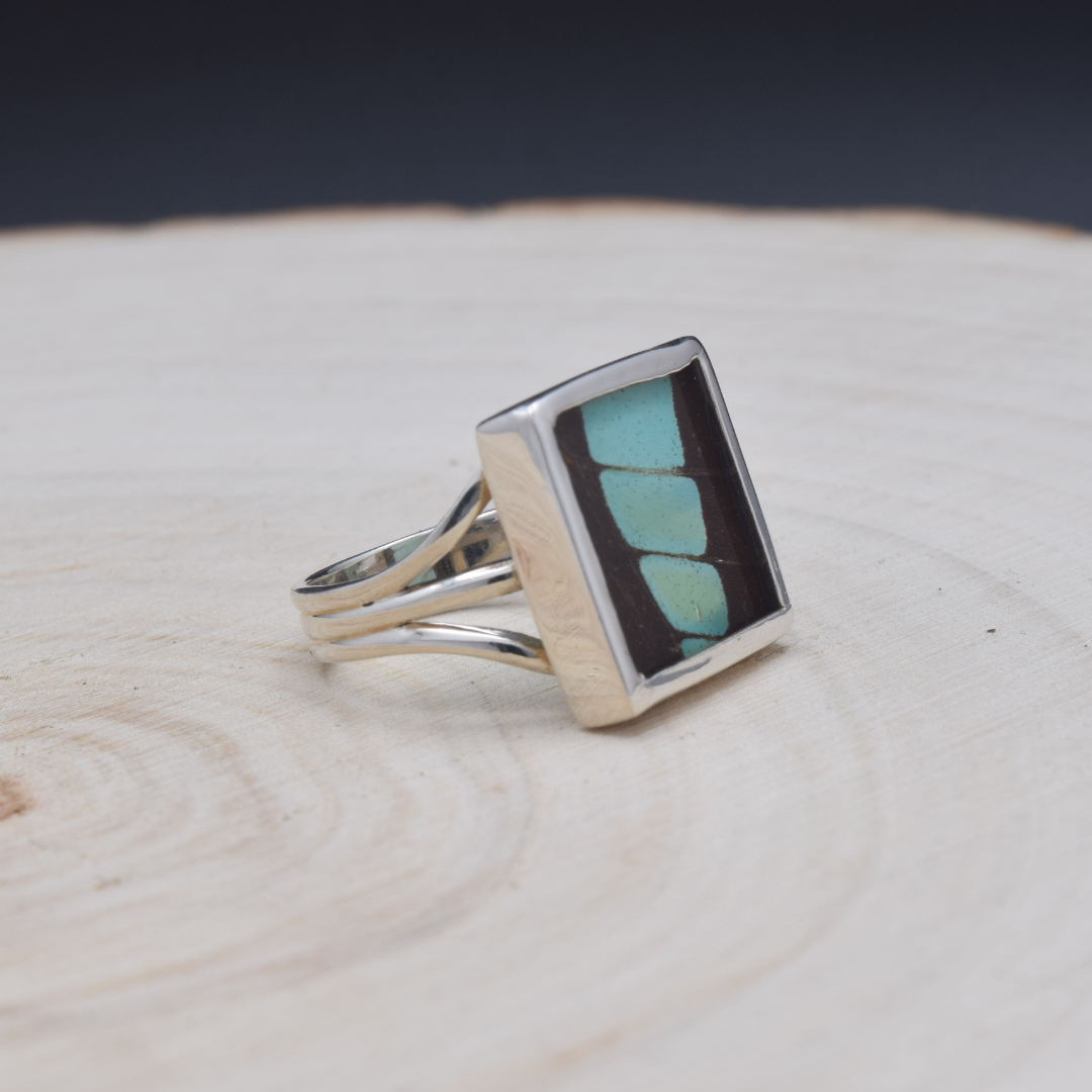 Common Bluebottle Fine Silver Square Ring