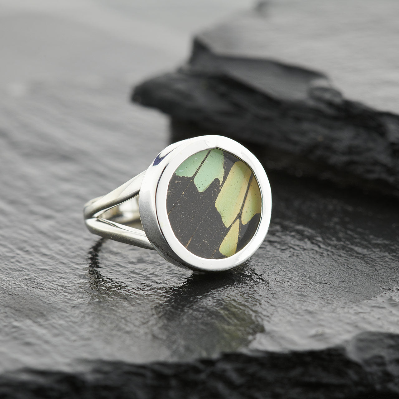 Green Banded Swallowtail Fine Silver Circle Ring