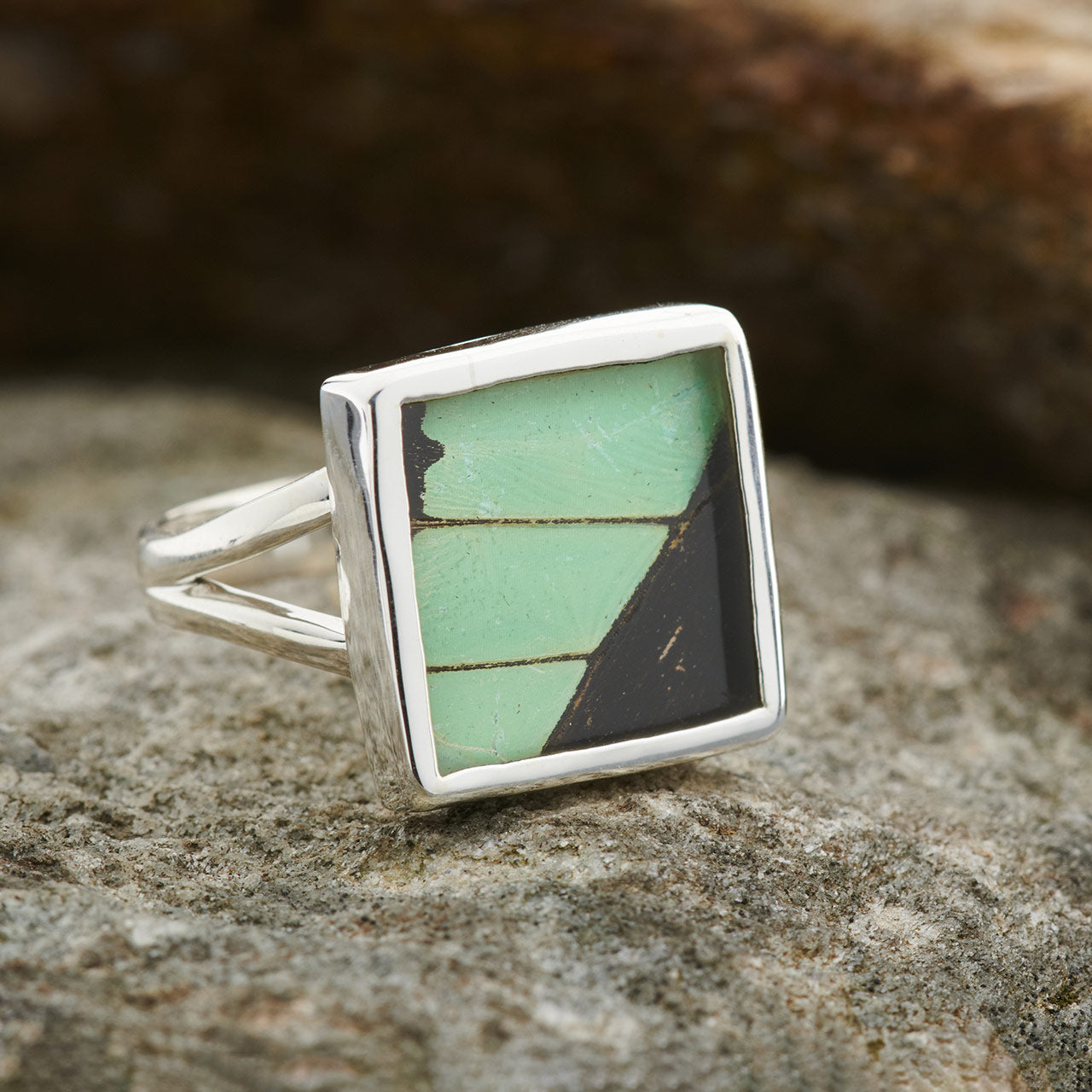 Green Banded Swallowtail Fine Silver Square Ring