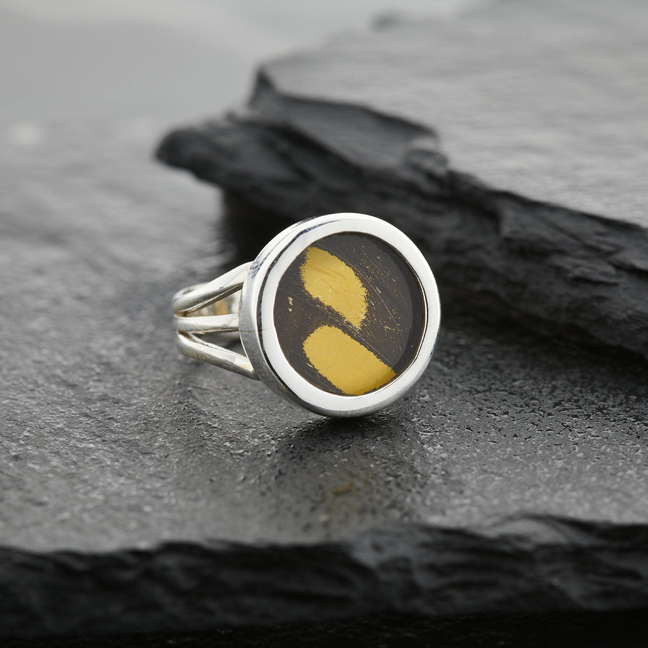 King Swallowtail Fine Silver Circle Ring
