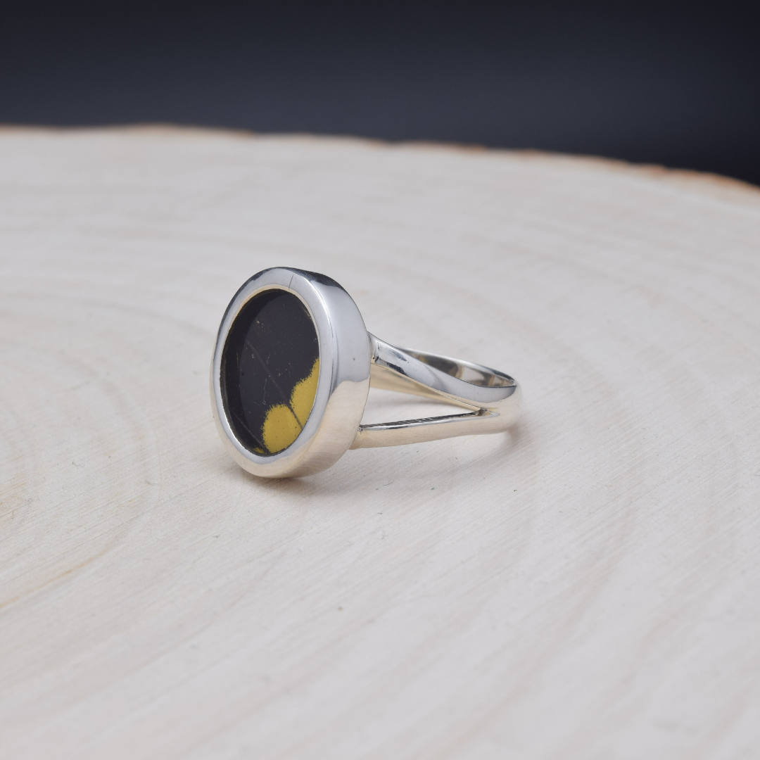 King Swallowtail Fine Silver Circle Ring