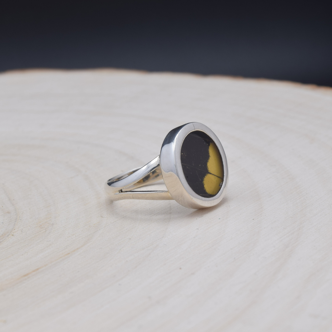 King Swallowtail Fine Silver Circle Ring