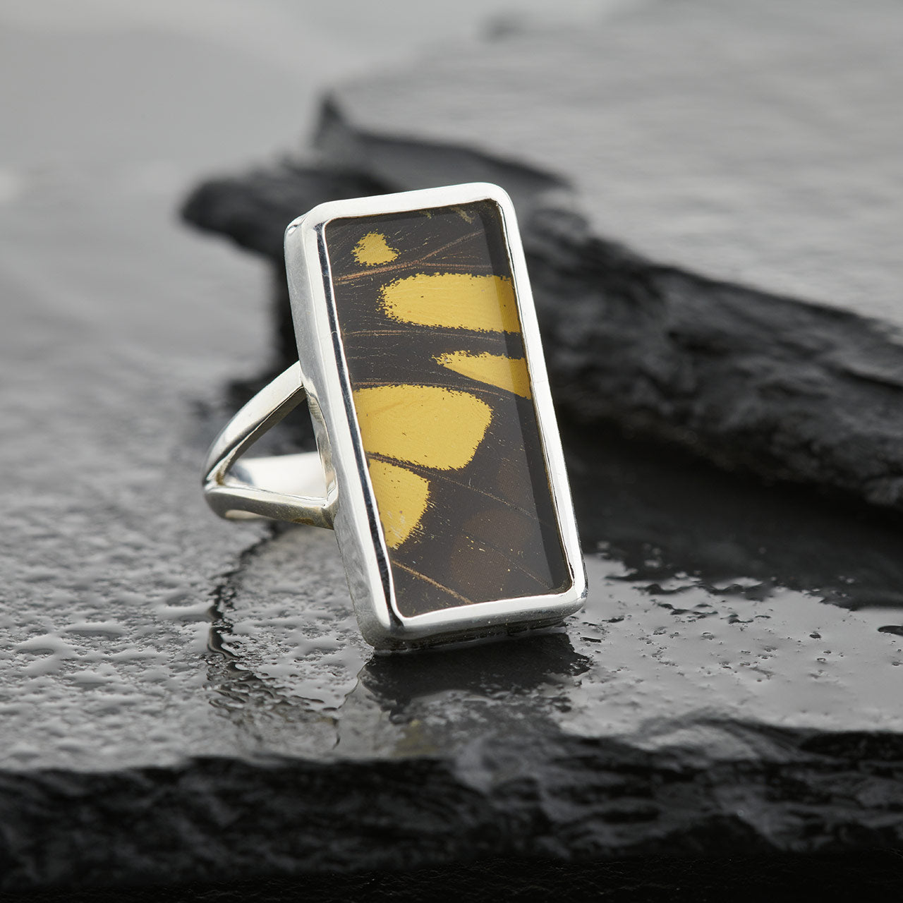 King Swallowtail Fine Silver Rectangle Ring