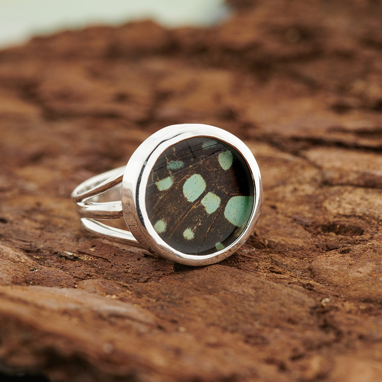 Striped Swordtail Fine Silver Square Ring