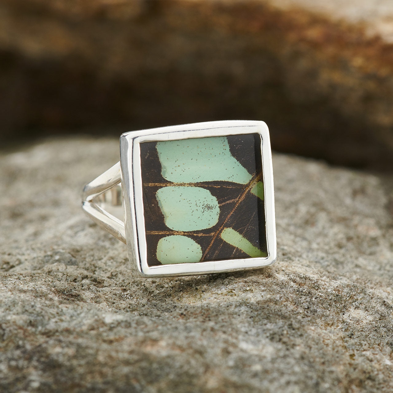 Striped Swordtail Fine Silver Circle Ring