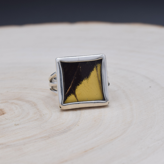 King Swallowtail Fine Silver Square Ring