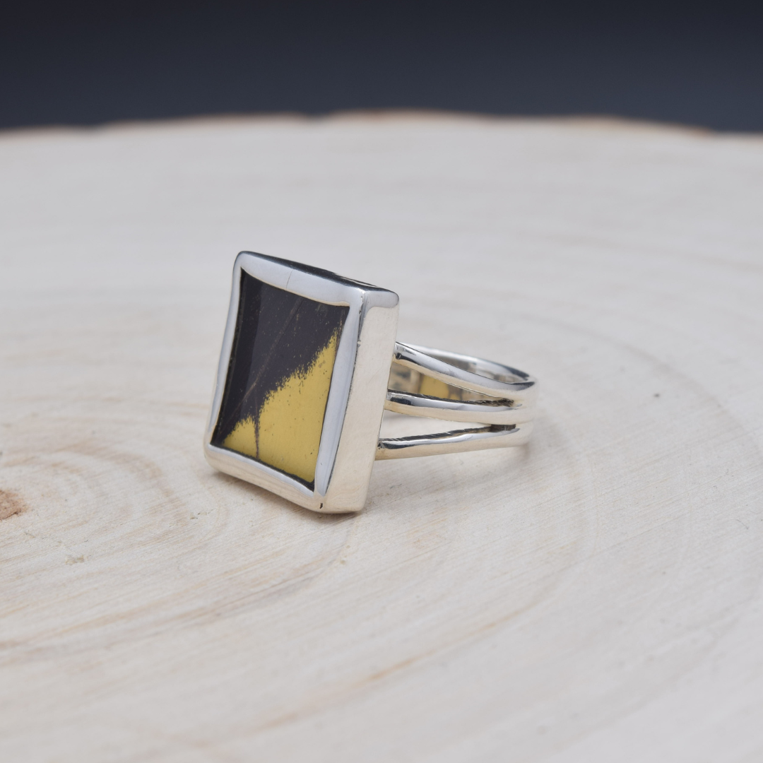 King Swallowtail Fine Silver Square Ring