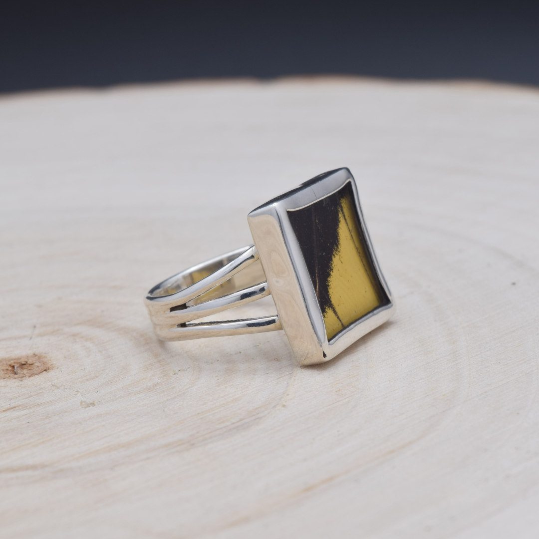 King Swallowtail Fine Silver Square Ring