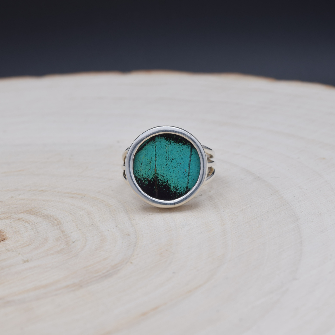 Peacock Swallowtail Circle Fine Silver Ring
