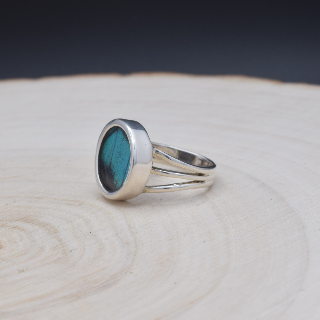 Peacock Swallowtail Circle Fine Silver Ring