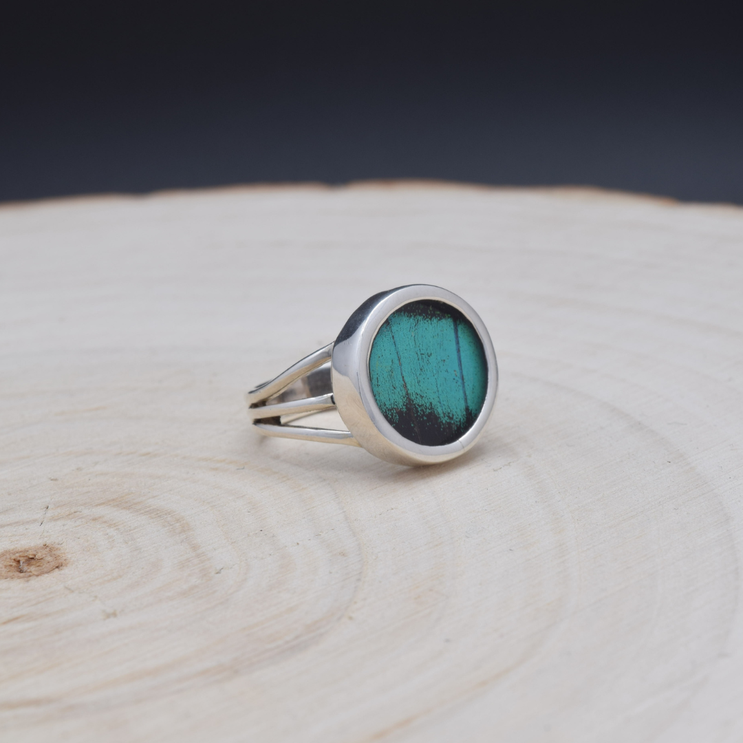 Peacock Swallowtail Circle Fine Silver Ring
