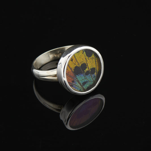 Urania Ripheus Fine Silver Round Ring