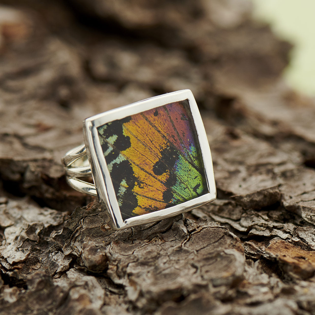 Urania Ripheus Fine Silver Square Ring