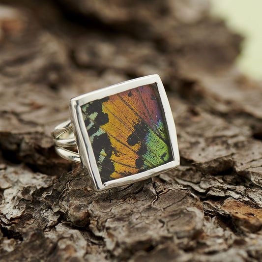 Urania Ripheus Fine Silver Square Ring