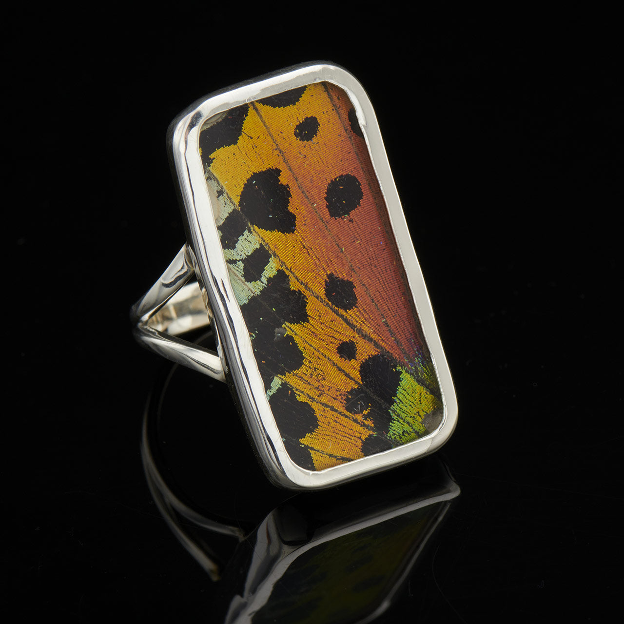 Urania Ripheus Fine Silver Rectangle Ring