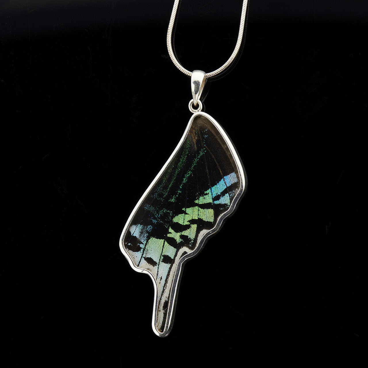 Urania Leilus Fine Silver Full Wing Pendant