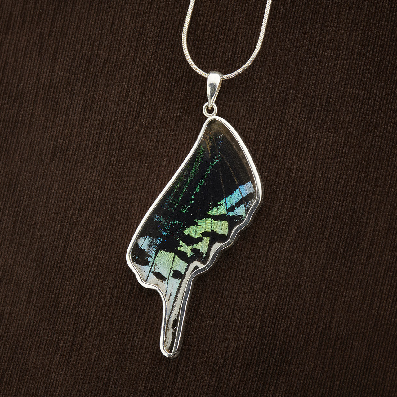 Urania Leilus Fine Silver Full Wing Pendant