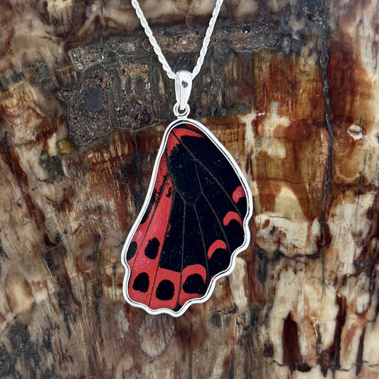 Scarlet Mormon Large Hindwings Fine Silver Pendant