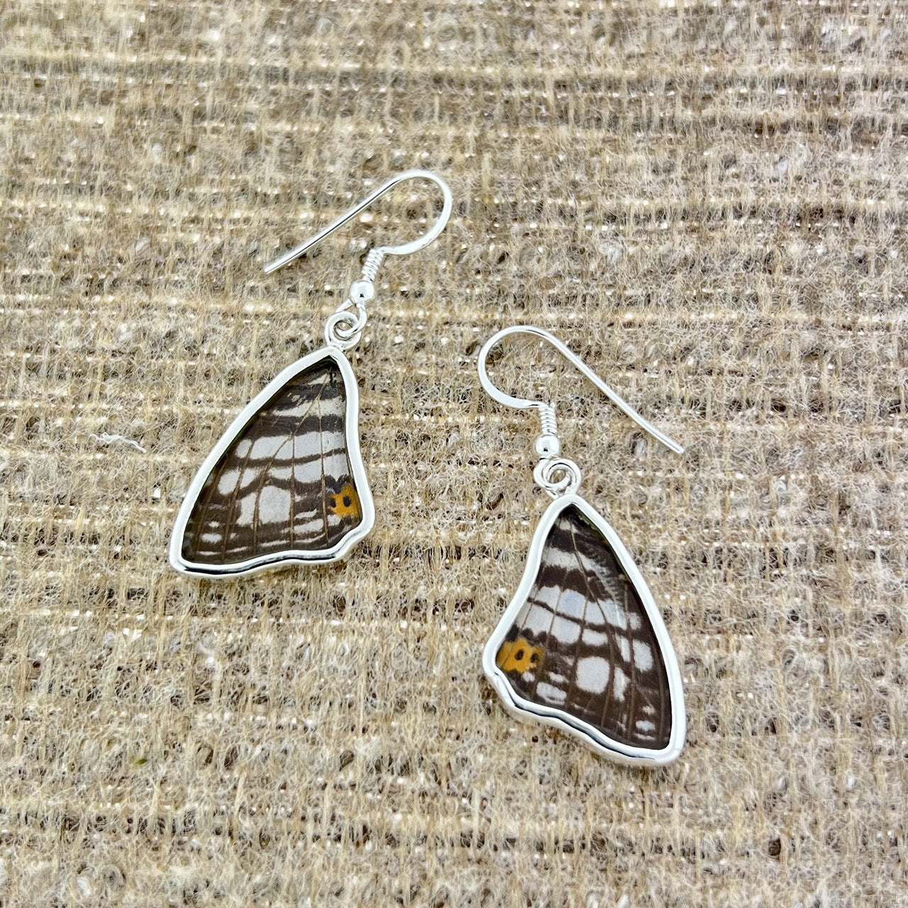 Mapwing Hindwings Fine Silver Earrings