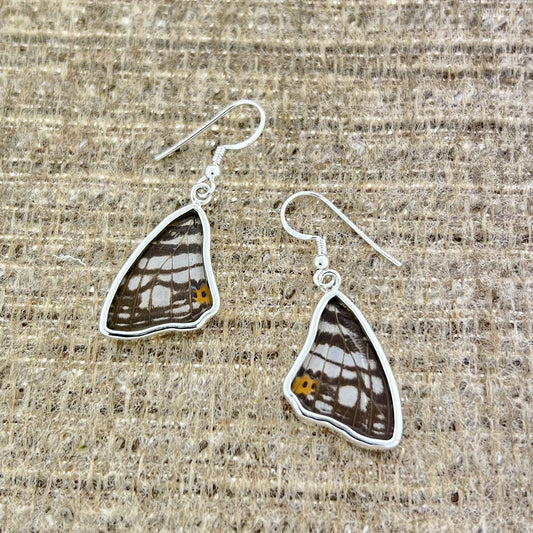 Mapwing Hindwings Fine Silver Earrings