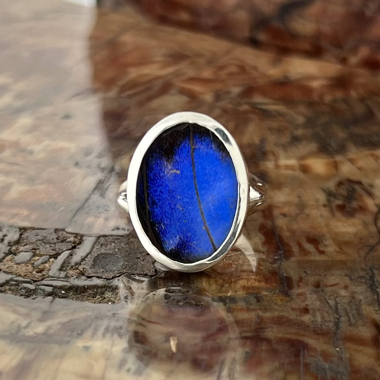 Bl. Morpho Oval Fine Silver Ring