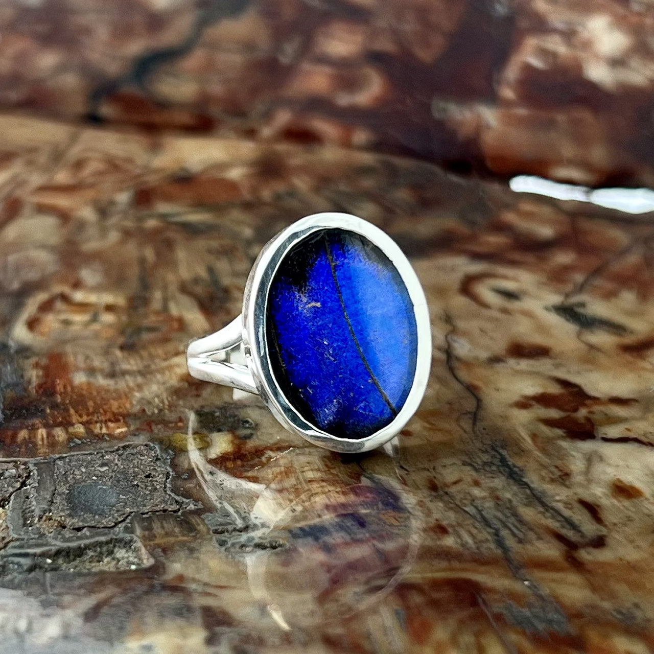 Bl. Morpho Oval Fine Silver Ring