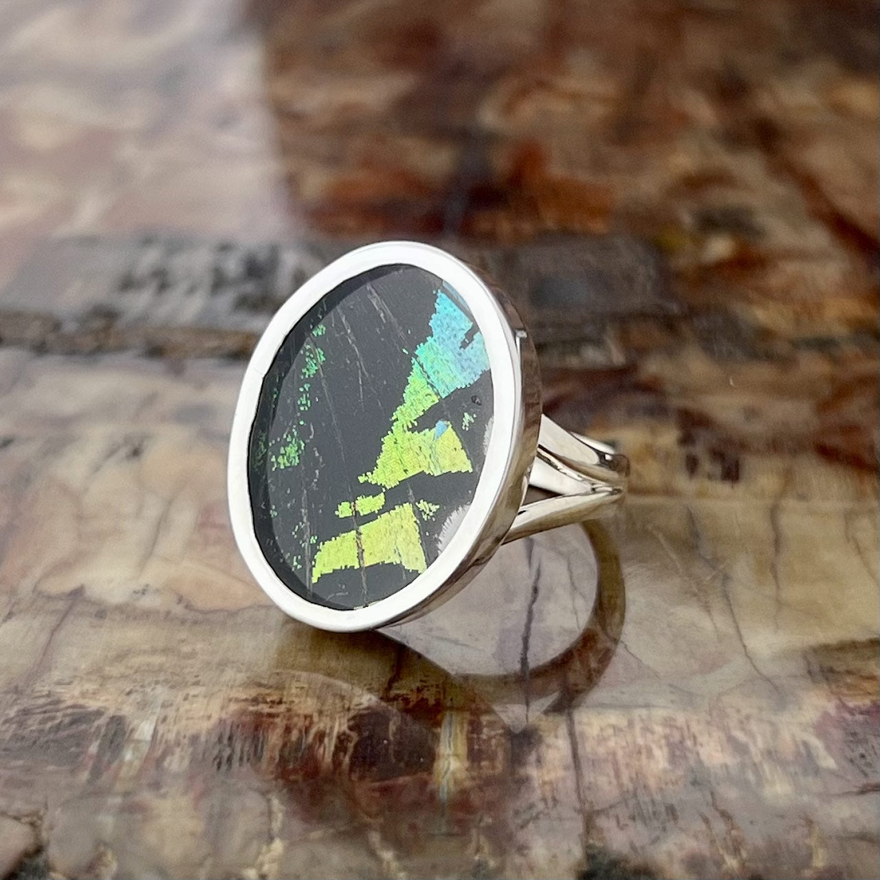 Sunset Moth Oval Forwing Fine Silver Ring