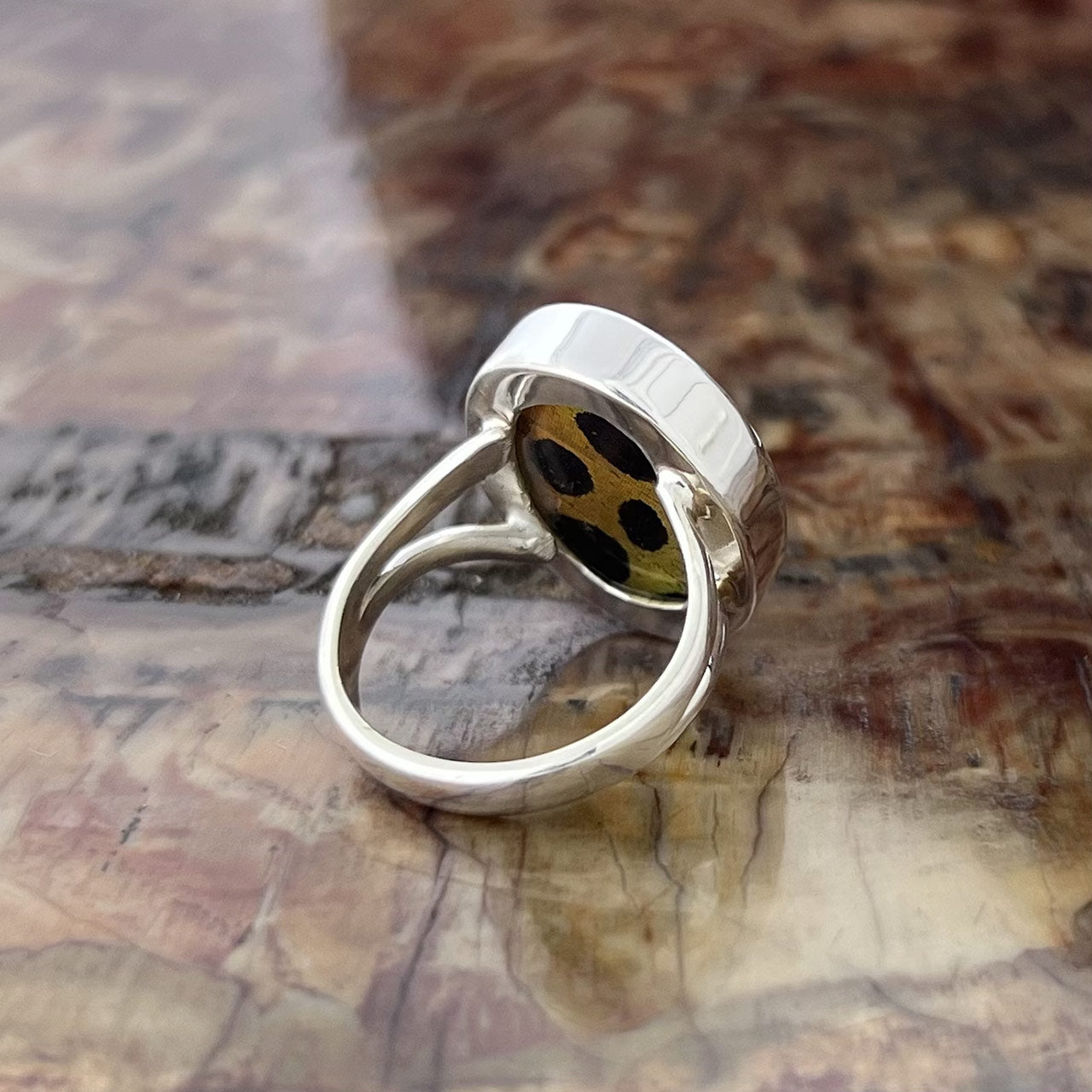 Sunset Moth Oval Hindwings Fine Silver Ring