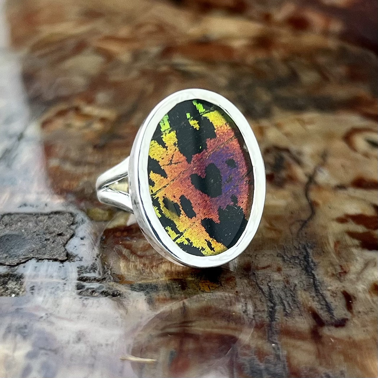 Sunset Moth Oval Hindwings Fine Silver Ring